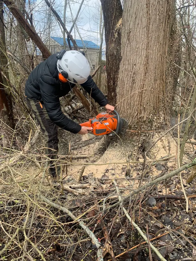Mathews Tree Service — photo from the business 9