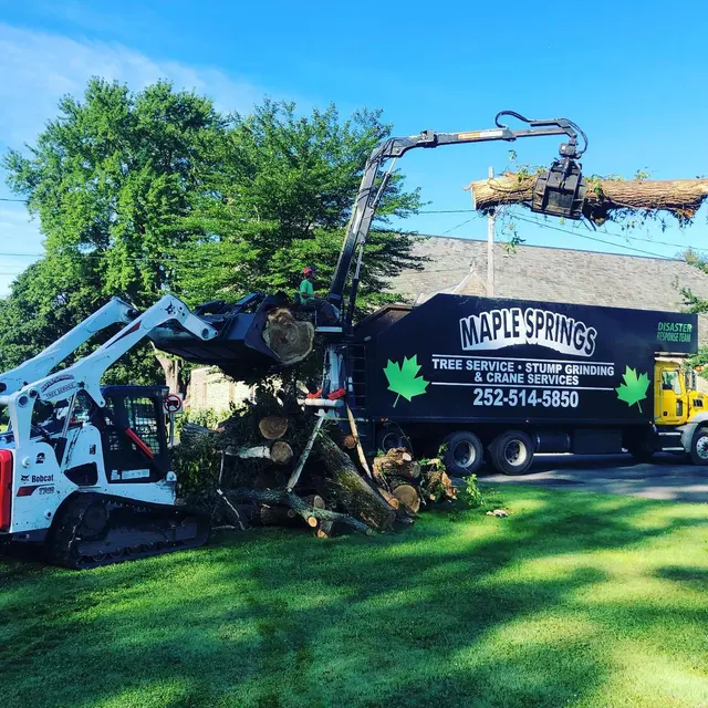 Maple Springs Tree Service — photo from the business 4
