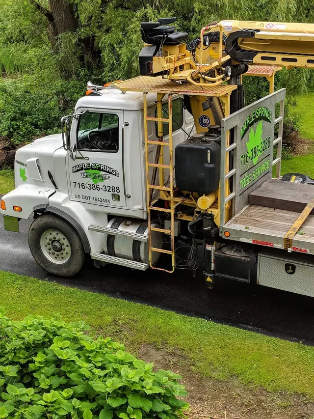 Maple Springs Tree Service — customer photo 10