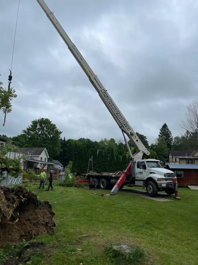 Maple Springs Tree Service — customer photo 2