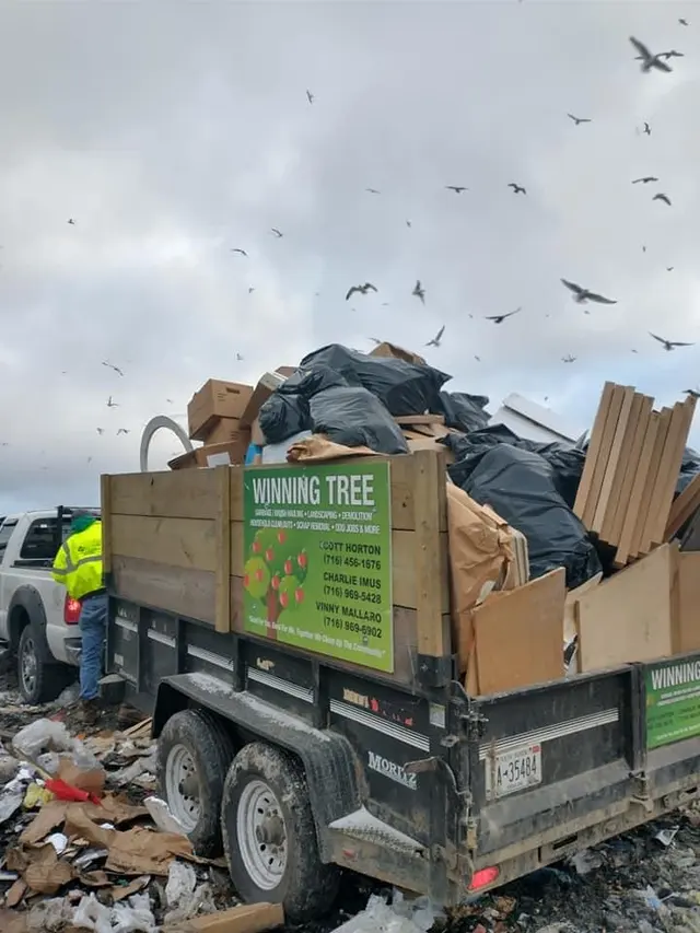 Winning Tree LLC — photo from the business 5