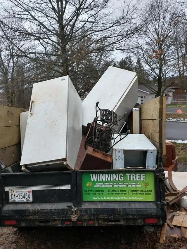 Winning Tree LLC — photo from the business 3