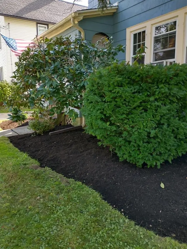 Winning Tree LLC — photo from the business 6