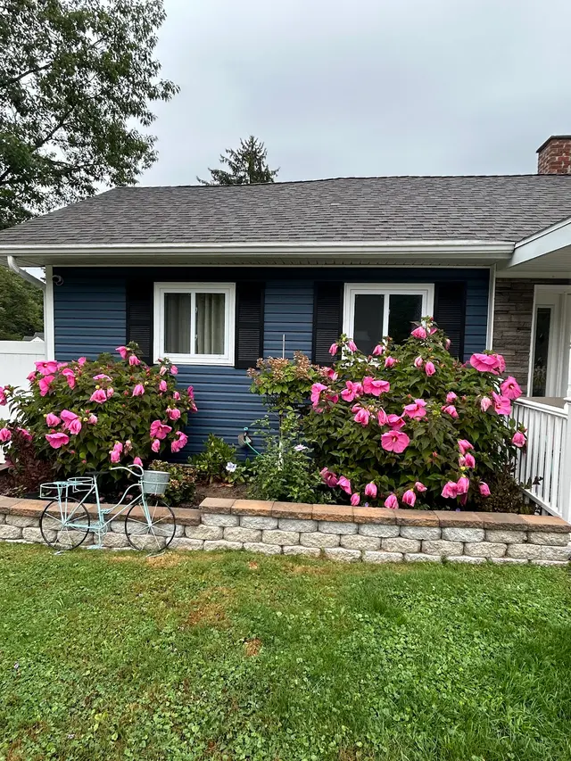 Winning Tree LLC — customer photo 12
