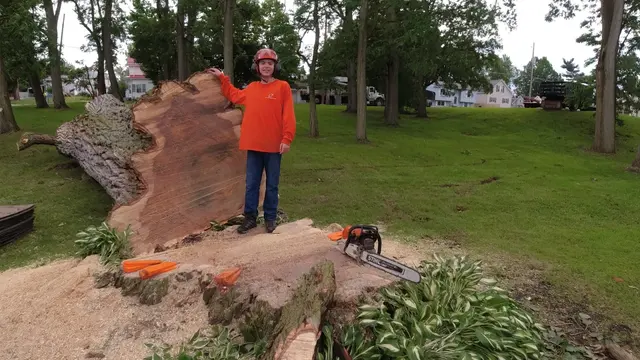 M2 Tree Service Inc. — photo from the business 2