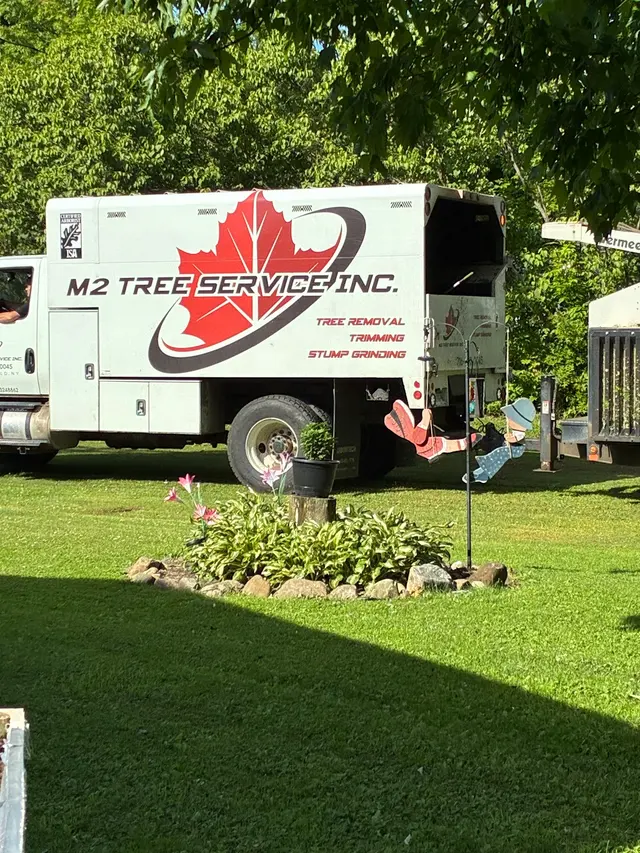 M2 Tree Service Inc. — customer photo 12