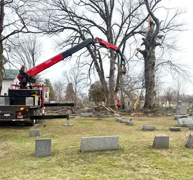 M2 Tree Service Inc. — photo from the business 1