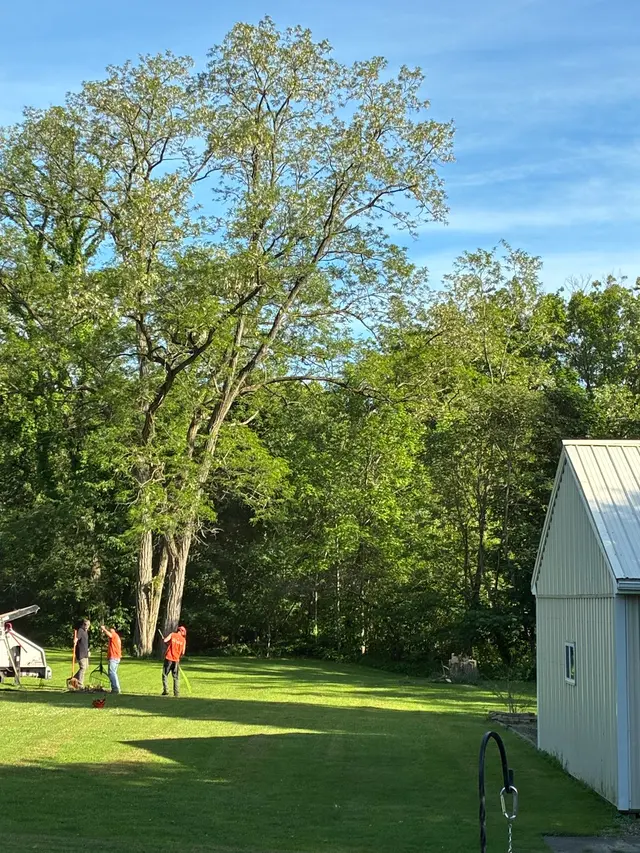 M2 Tree Service Inc. — customer photo 10