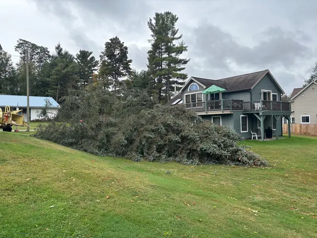 DS Tree Trimming & Stump Removal — customer photo 5