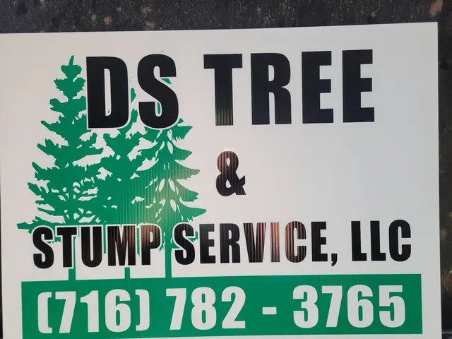 DS Tree Trimming & Stump Removal — customer photo 11