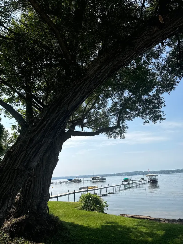 DS Tree Trimming & Stump Removal — customer photo 9