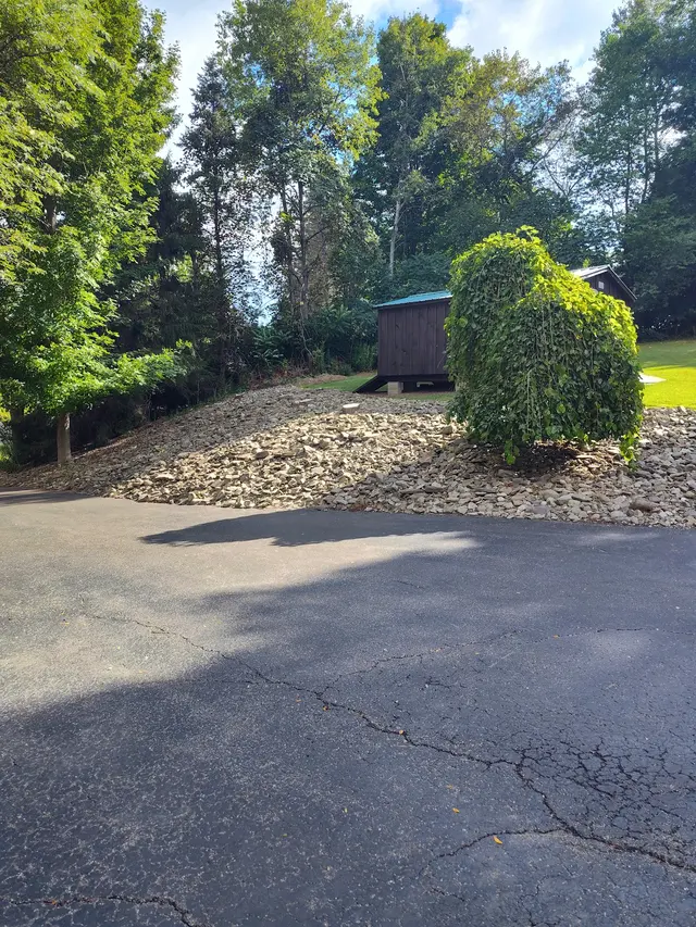 DS Tree Trimming & Stump Removal — customer photo 8