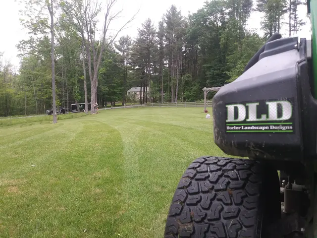 Dorler Landscape Designs LLC — photo from the business 5