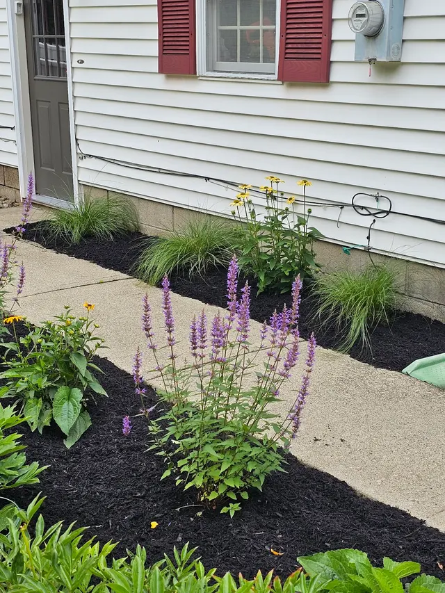 Dorler Landscape Designs LLC — customer photo 8