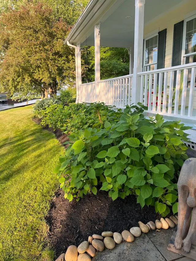 Customer photo of work by Dorler Landscape Designs LLC, from Gail Higgins's review