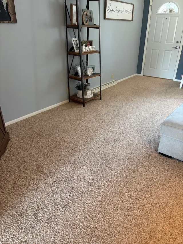 Pioneer Professional Carpet Care — customer photo 1
