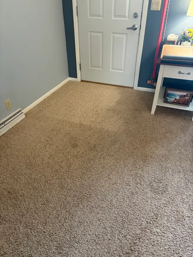 Customer photo of work by Pioneer Professional Carpet Care, from Rachel Corey's review