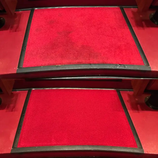 Pioneer Professional Carpet Care — photo from the business 6