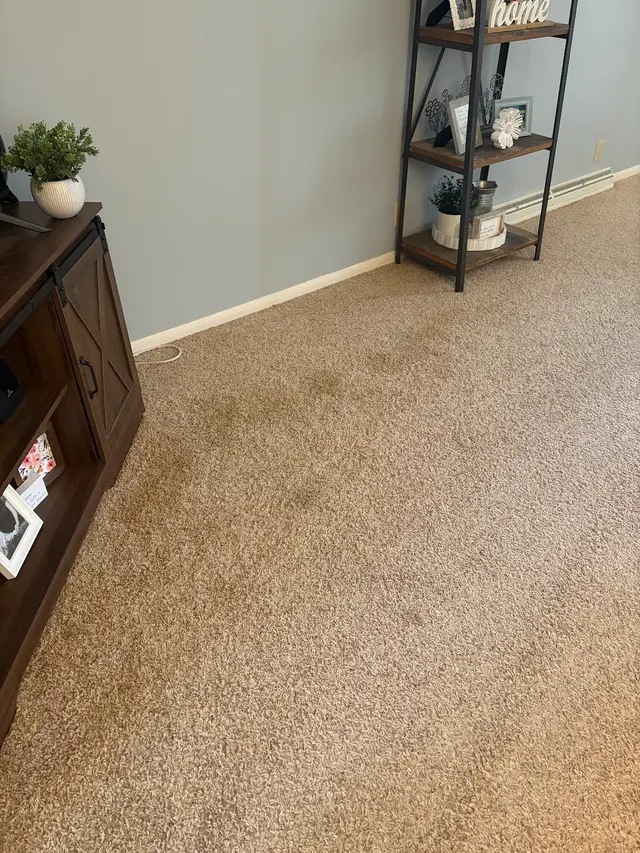 Customer photo of work by Pioneer Professional Carpet Care, from Rachel Corey's review