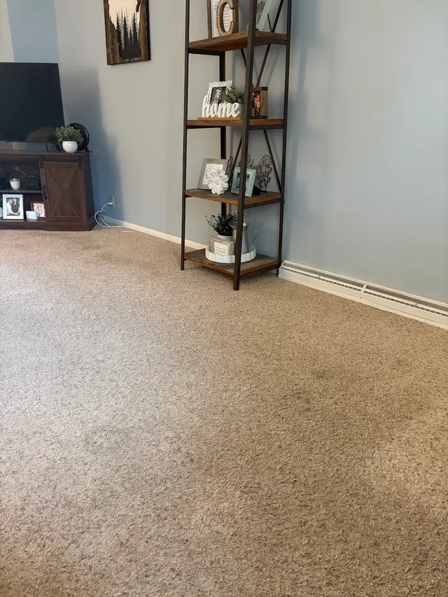 Customer photo of work by Pioneer Professional Carpet Care, from Rachel Corey's review