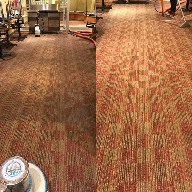 Pioneer Professional Carpet Care — photo from the business 11