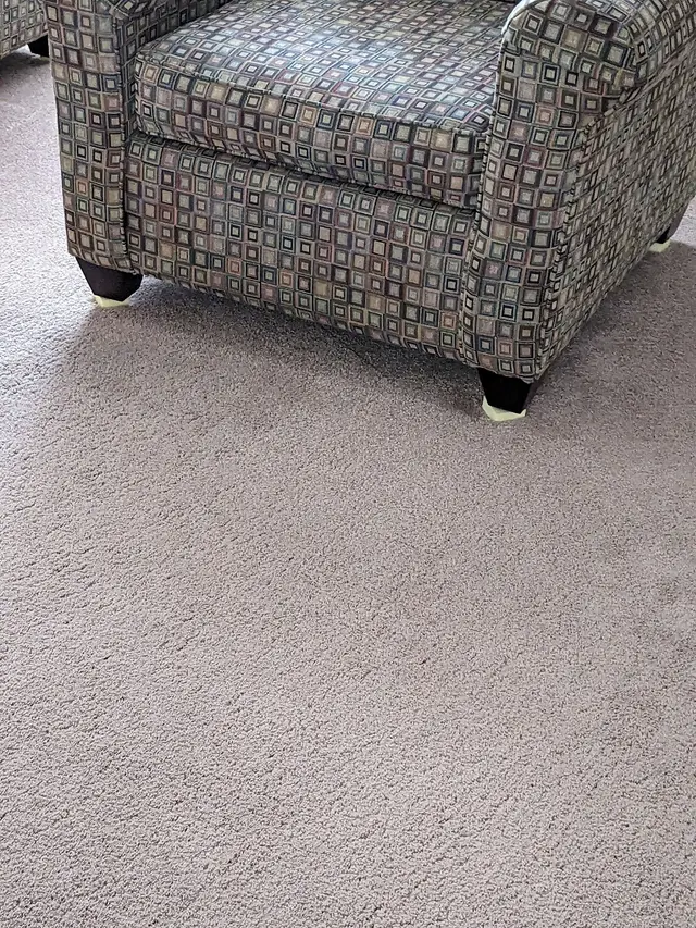 Pioneer Professional Carpet Care — customer photo 10