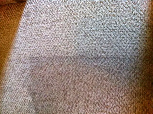 Pioneer Professional Carpet Care — photo from the business 9
