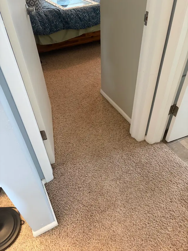 Customer photo of work by Pioneer Professional Carpet Care, from Rachel Corey's review