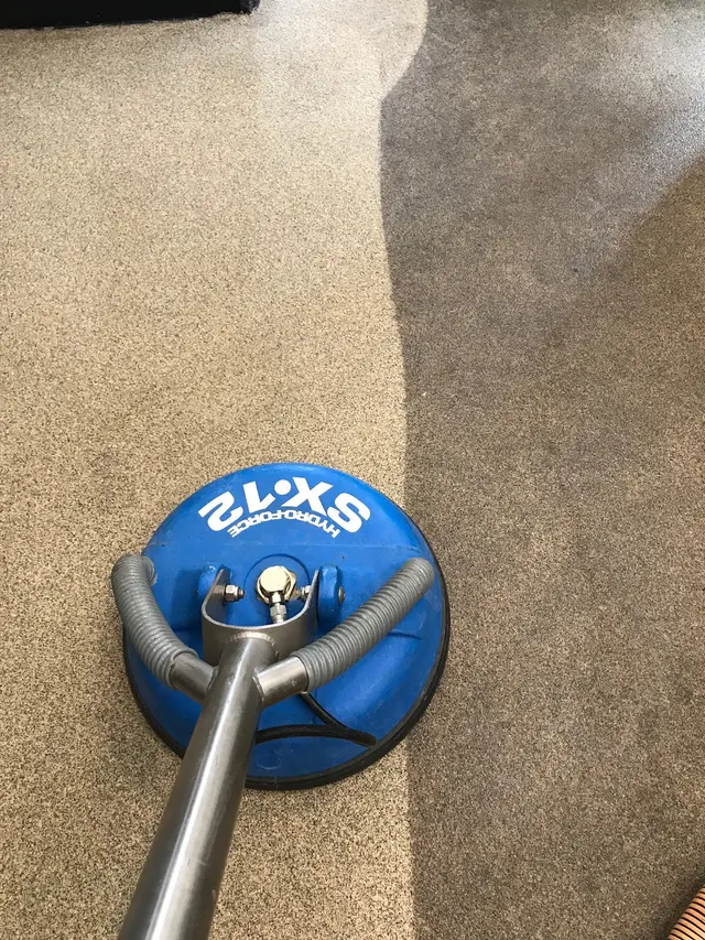 Pioneer Professional Carpet Care — photo from the business 4