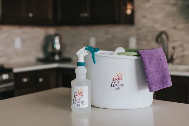 Queen of Cleaning — photo from the business 2