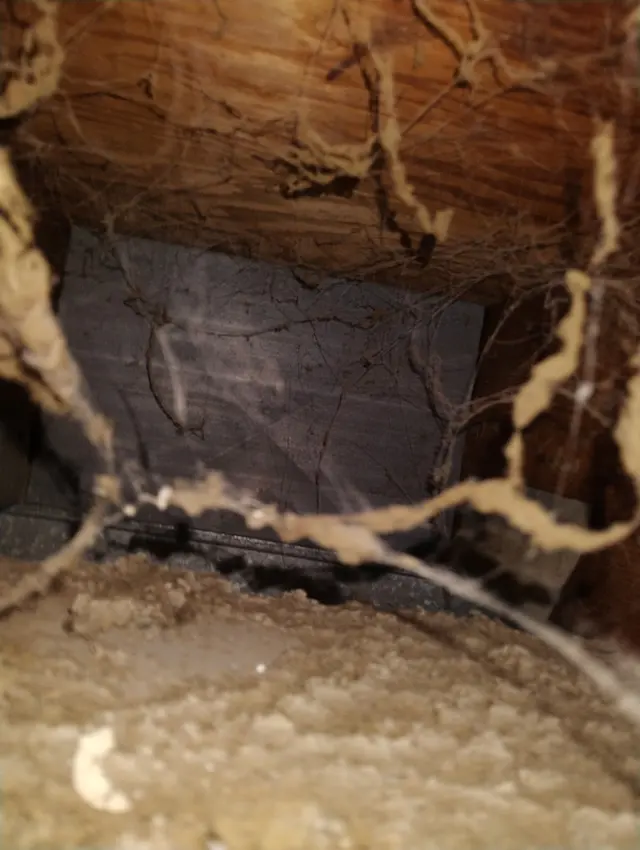 Wisconsin Natural Air Duct Cleaning Appleton — photo from the business 11