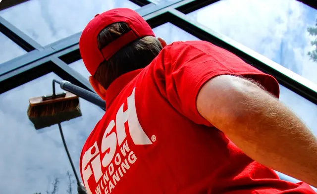 Fish Window Cleaning — photo from the business 1