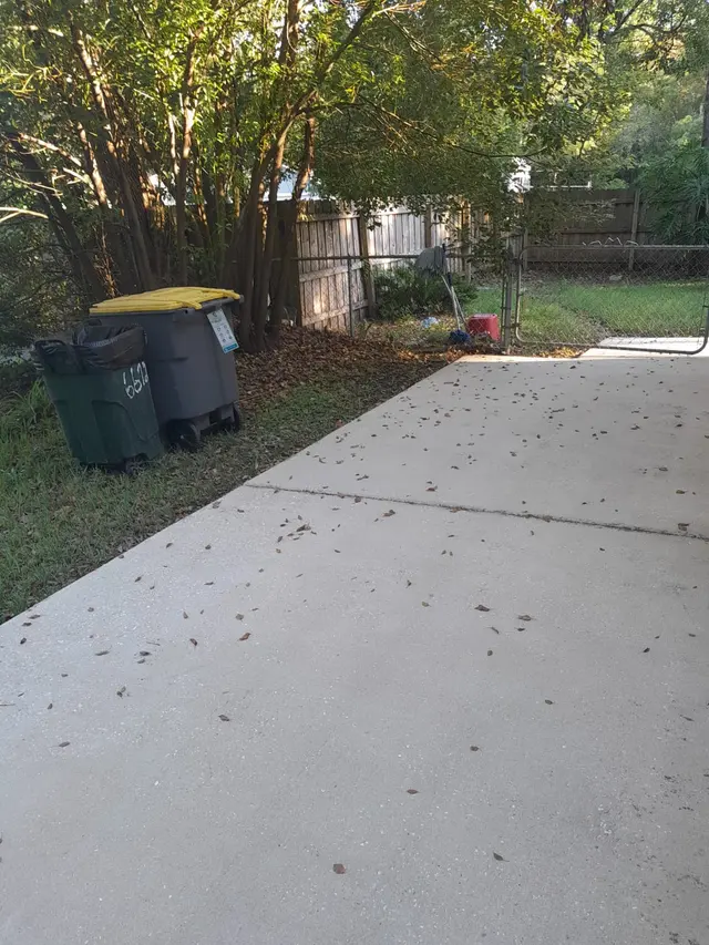 Customer photo from Carlos's review