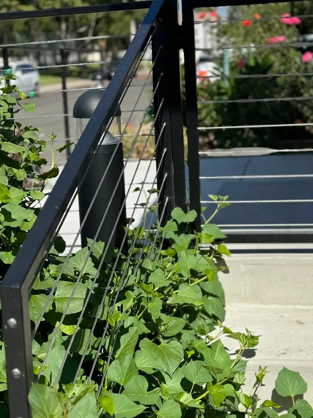 Customer photo of work by Prosafe Fence Inc, from Mel C's review