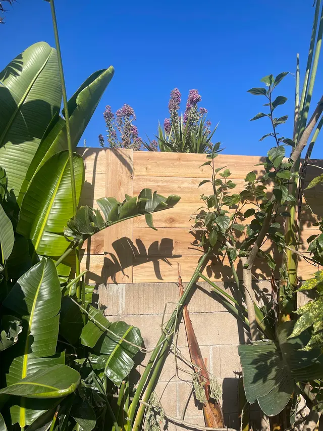 Customer photo of work by Sparta Fence Inc, from Diego Orozco's review