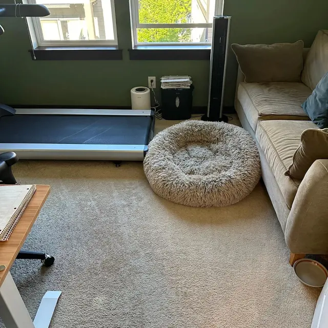 Shining Bright Cleaning | House Cleaning Service Jacksonville — photo from the business 9