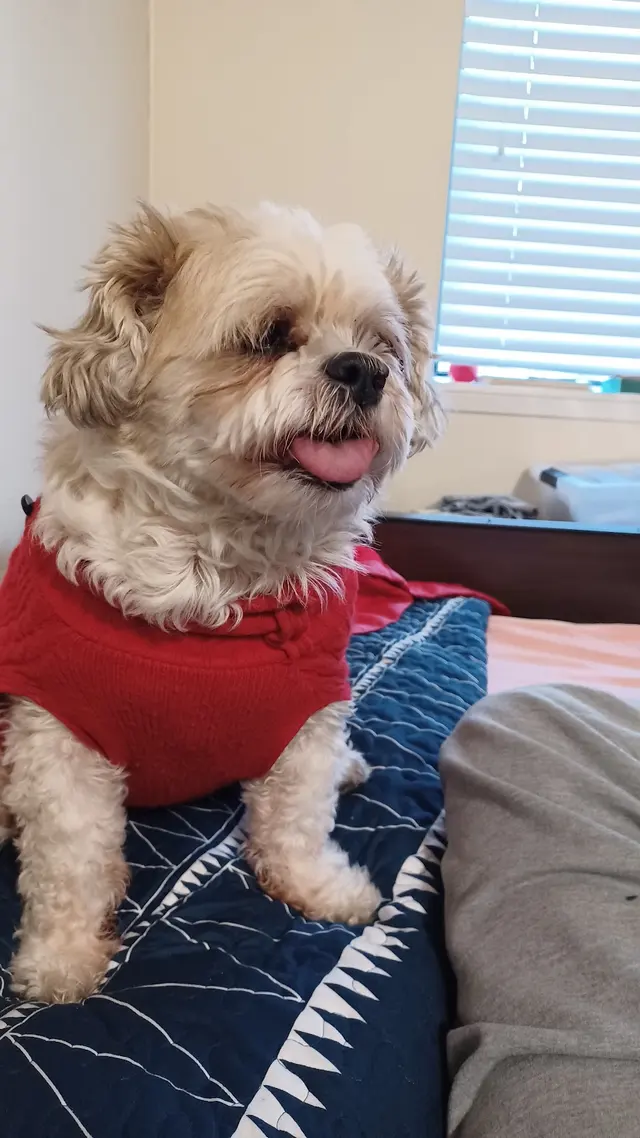 North Paw Animal Hospital — customer photo 12