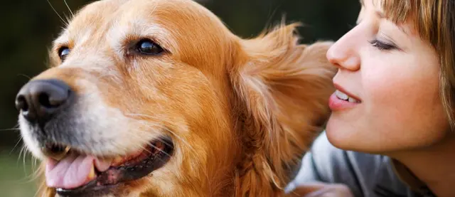 North Paw Animal Hospital — photo from the business 1
