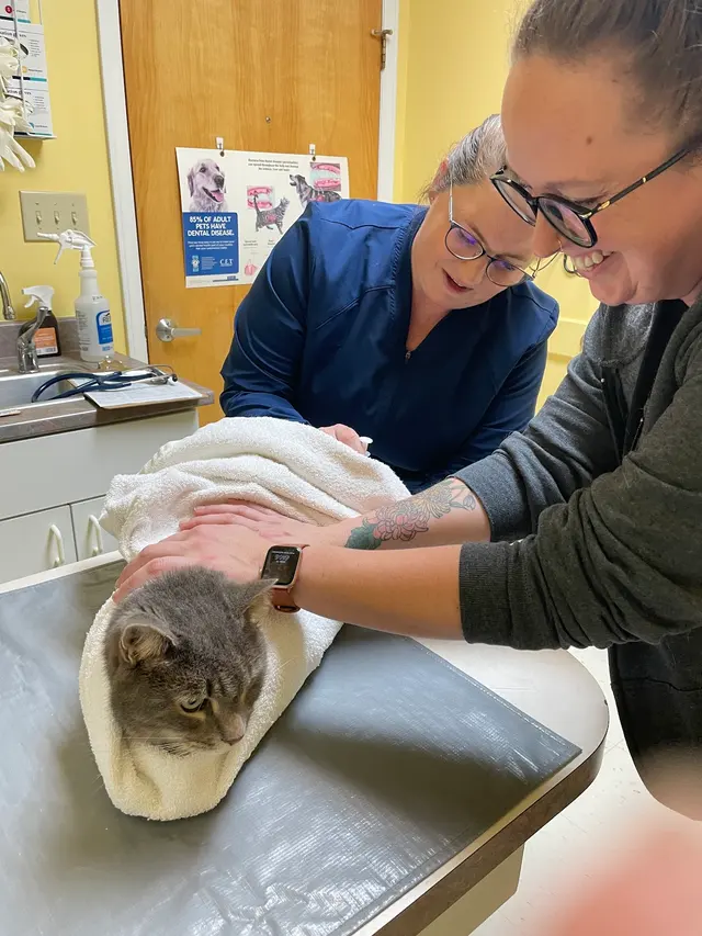 North Paw Animal Hospital — customer photo 5