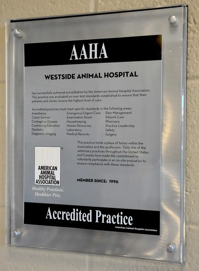 Westside Animal Hospital — photo from the business 11
