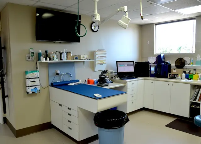 Westside Animal Hospital — photo from the business 6
