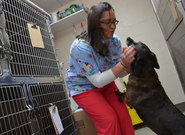 Westside Animal Hospital — photo from the business 8