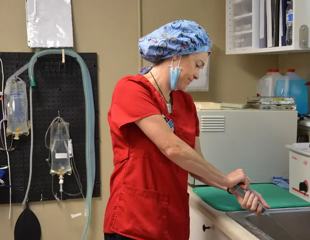Westside Animal Hospital — photo from the business 7
