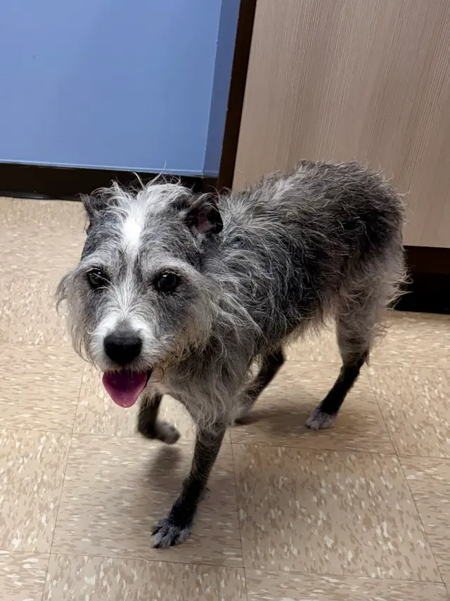 Cornwallis Road Animal Hospital — customer photo 7