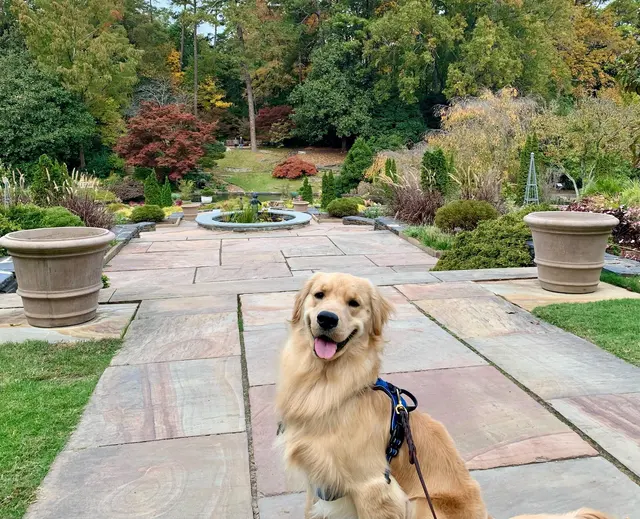Southpoint Animal Hospital — customer photo 9