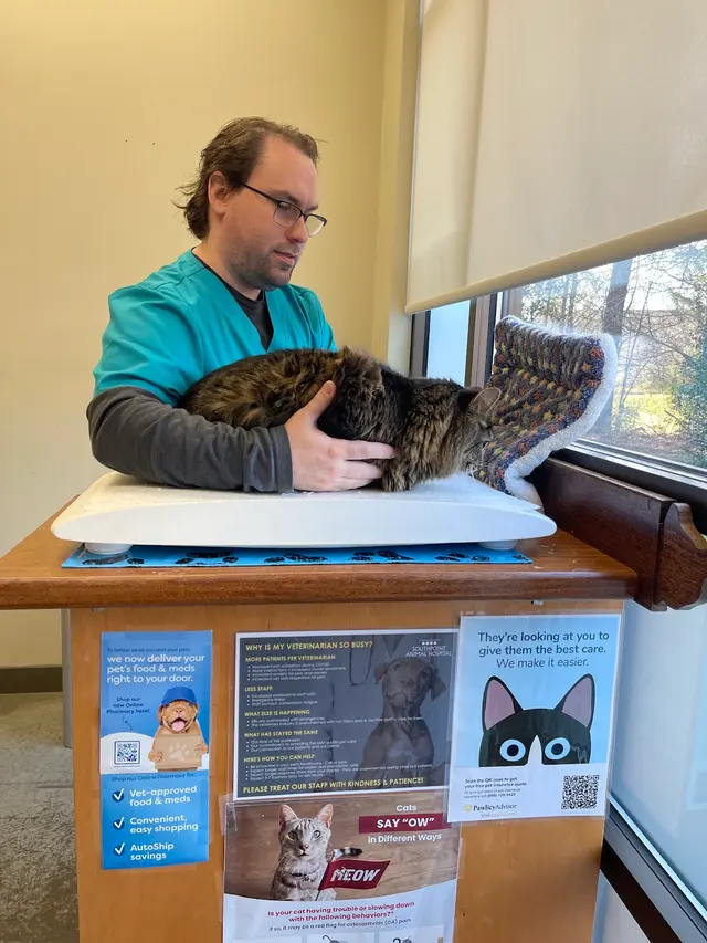 Southpoint Animal Hospital — customer photo 6