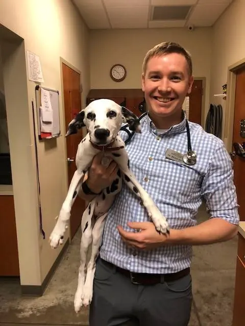 Southpoint Animal Hospital — photo from the business 12