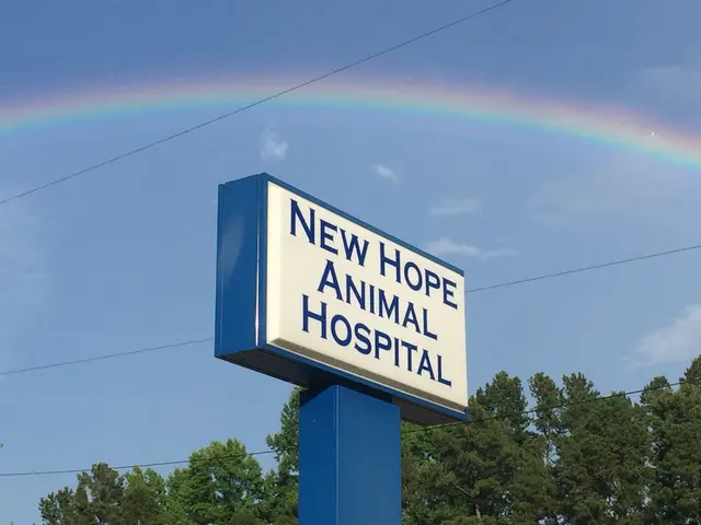 New Hope Animal Hospital — photo from the business 1