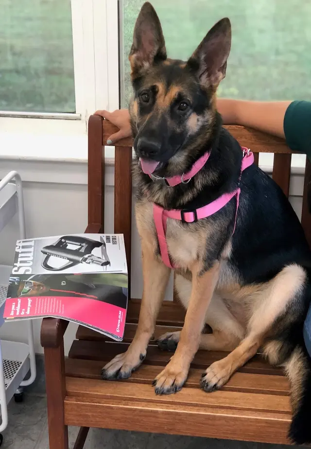 New Hope Animal Hospital — customer photo 8