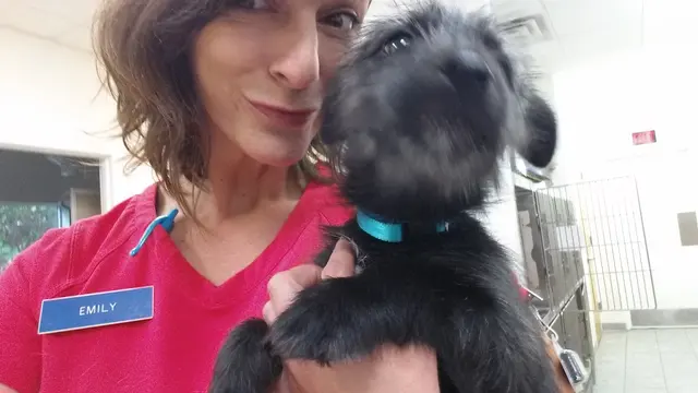 New Hope Animal Hospital — customer photo 3